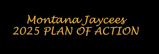 Plan of Action